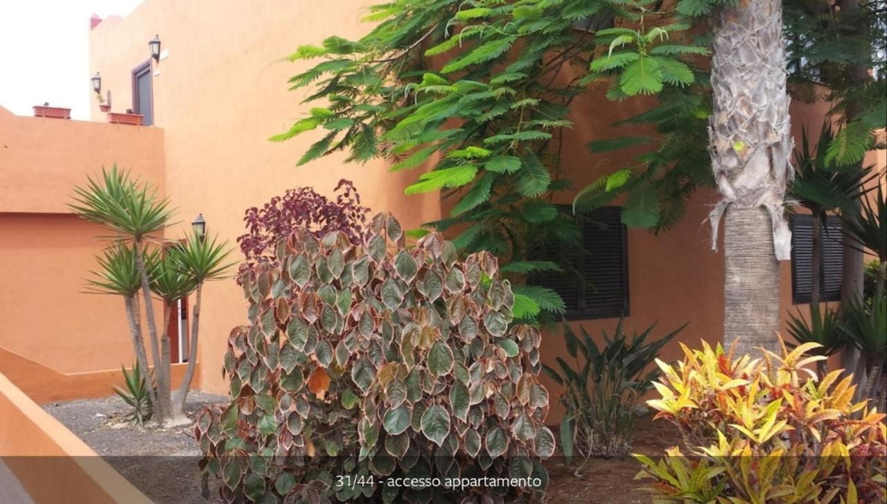 My Home In The Sun コラレホ エクステリア 写真